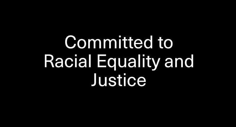 承诺种族公正特征