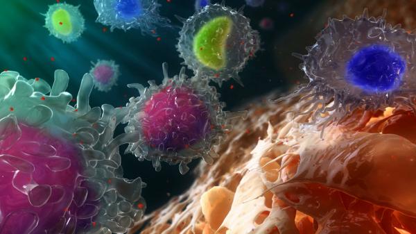 是什么让免疫系统损害你的健康?