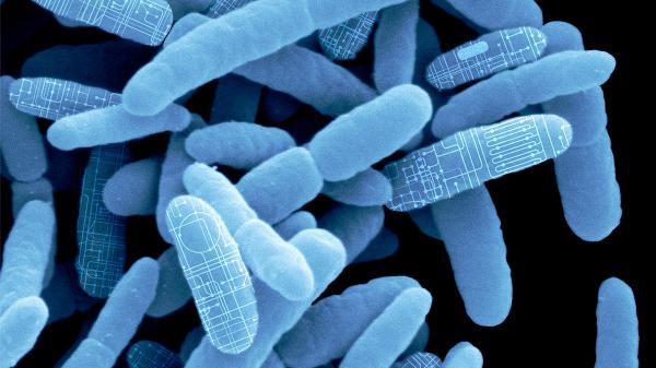 细菌是“好人”：与Synlogic聊天