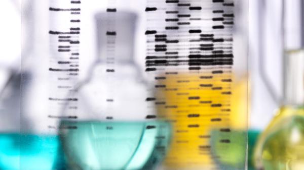 类风湿性关节炎的未来:基因、生活方式和环境因素