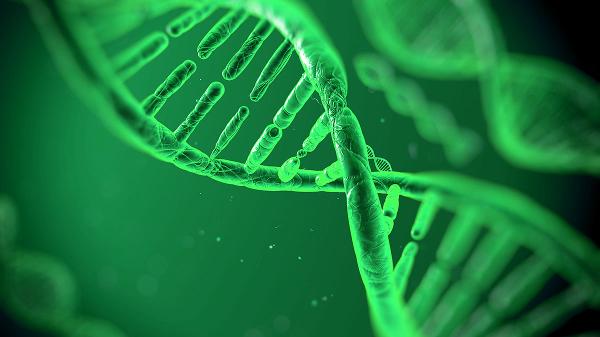 爱尔兰能拥有破解严重疾病的基因密码吗?