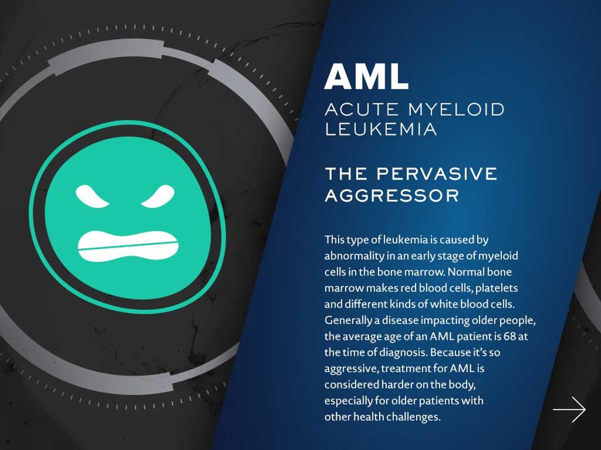 是什么让aml与众不同？画廊？低1？jpg